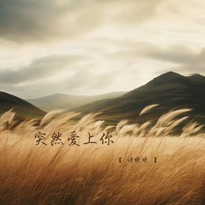 突然爱上你 (校园广播版)