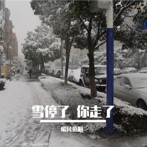 雪下的时候
