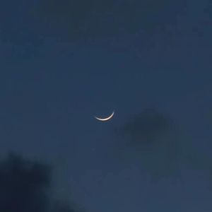 你听，今夜的晚风吹过