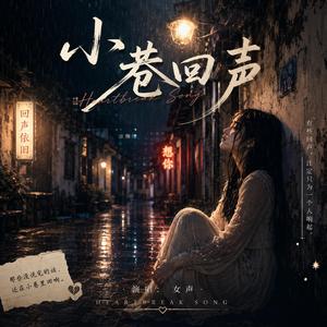 小巷回声 - Echoes in an Empty Alley
