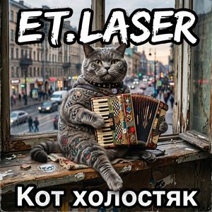 Кот холостяк