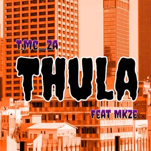 Thula (feat. Tmcza & Mkze)