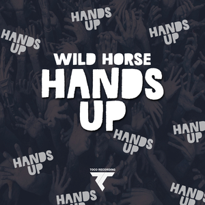 Hands Up (Original Mix)