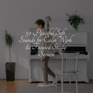 Raindrops in the City