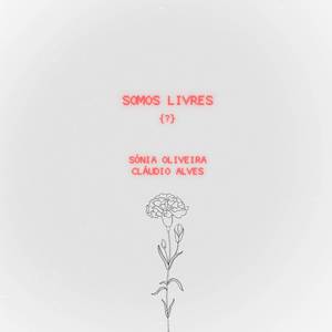 Os Índios da Meia Praia