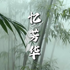 忆芳华