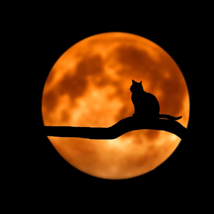 Ambient Soundscape for Sleep