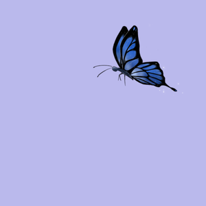 蝴蝶和大海（Prod.Furyl,4_Chords）