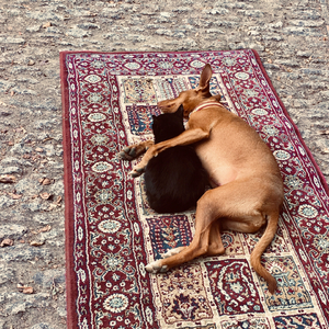 Woher hast du diese Frau eigentlich genau?