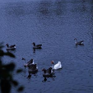 处处遗憾 (Cover:颜人中)