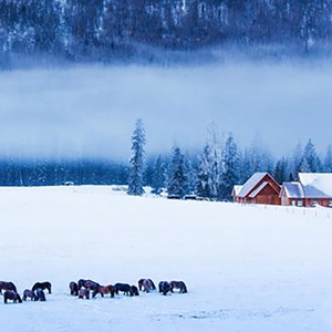 なごり雪（To 亲爱的雪姐生快  ，cover德永英明