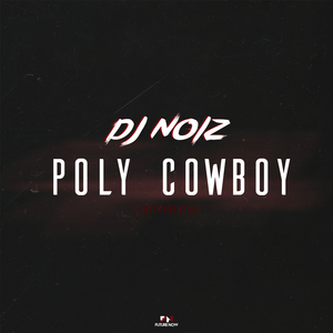 Poly Cowboy