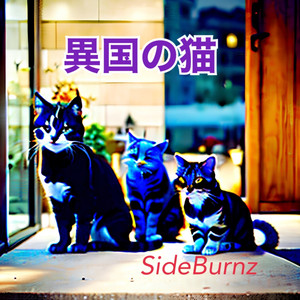 Three stray cats
