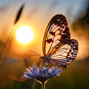 Seconds Fall Like Leaves