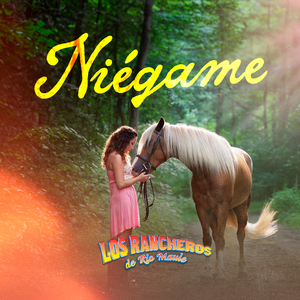 Niégame