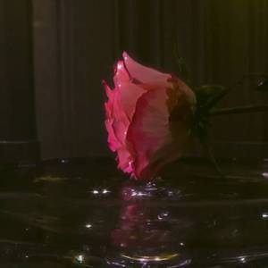 ‎‎‎‎‎‎‎‎‎‎‎‎