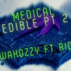 Medical Edible, Pt. 2 (feat. Romance Is Dead)