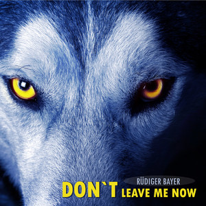 Don't Leave Me Now (Unplugged)