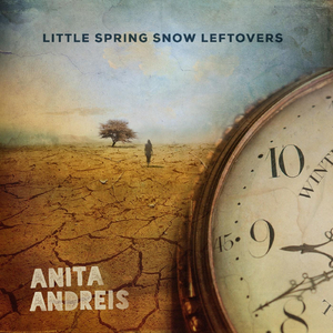 Little Spring Snow Leftovers