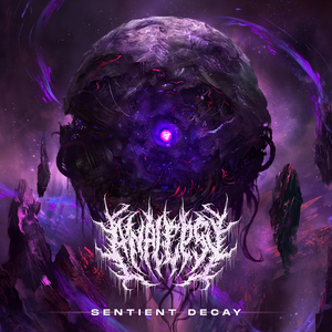 Sentient Decay