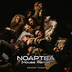 Noaptea (House Remix)