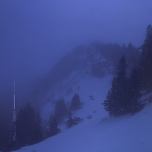 the loneliness came back