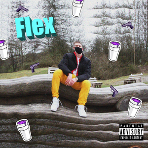 Flex