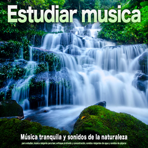 Música para concentrarse