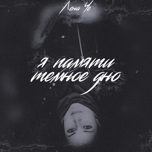 Я памяти темное дно...