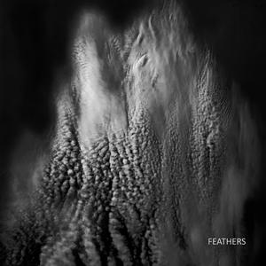 Plumes