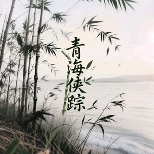 青海侠踪《神龙特工之武林英雄传OP》