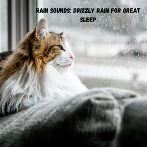 Calm Weather Zone
