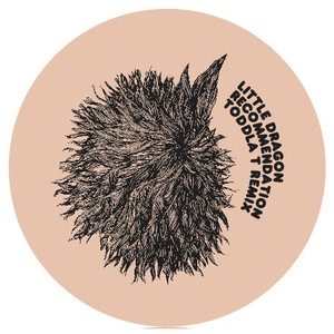 Recommendation (Toddla T Instrumental)