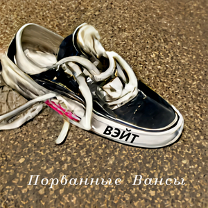 Порванные вансы