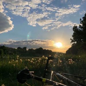 Ban đầu V2(本行三件事猎龙驯龙调教龙)