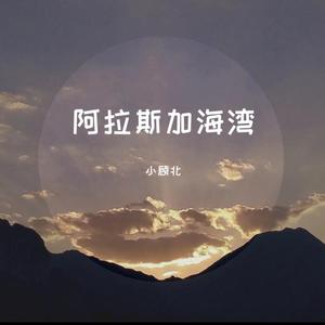 阿拉斯加海湾（cover） 小顾北