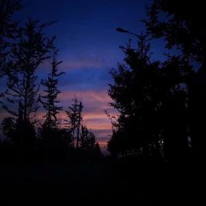 Nieve-ONE Night（杀手鬼脸 remix）