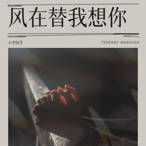 风在替我想你
