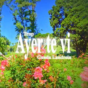 Ayer te vi (feat. Guadalupe Landrein)