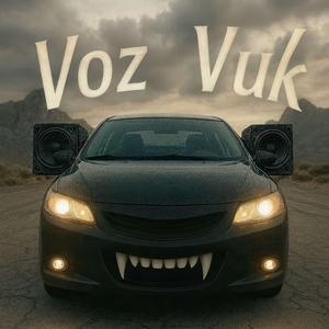 VOZ VUK FUNK