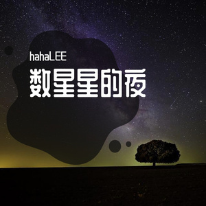 数星星的夜（prod.Gr33nart Beats）