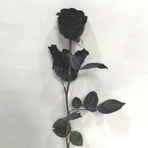 Entiérrame (feat. JHXNN) (live GDR Studios Ver. Rock)