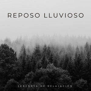 Ritmos Lluviosos Armónicos