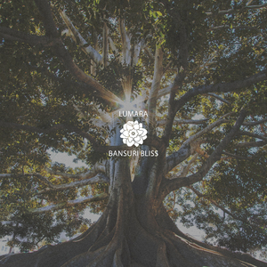 Bansuri Bliss