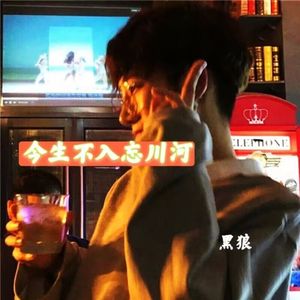 今生不入忘川河