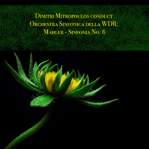 Sinfonia No. 6 in A Minor:III. Andante Moderato