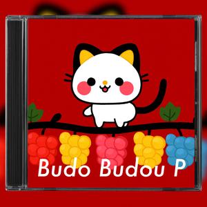 Budo Budou P