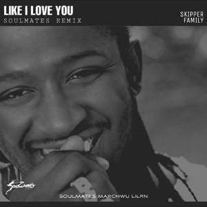 Like I Love You(Soulmates Bootleg)