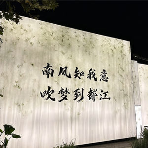 你会不会路过我的明天