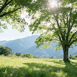 情况就这么个情况